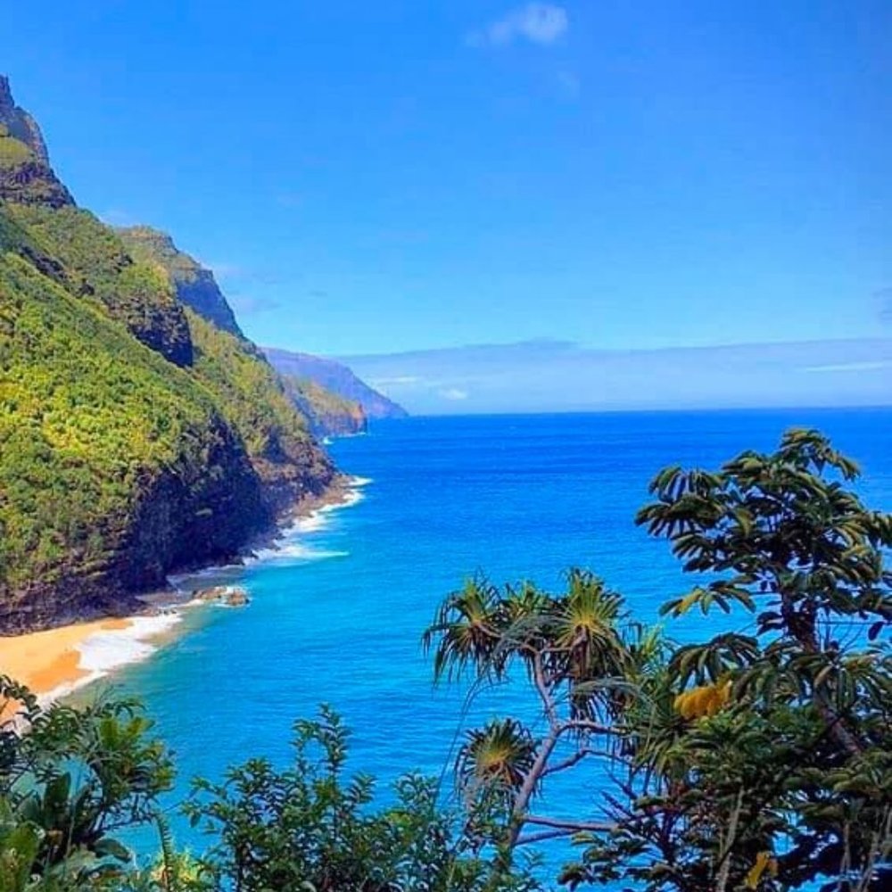 Meet your Posher, Michele